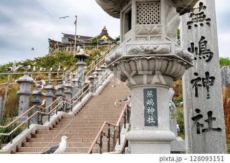 蕪嶋神社とウミネコたち 〜金運祈願のパワースポット 蕪嶋神社とウミネコたち 〜金運祈願のパワースポット 128093151