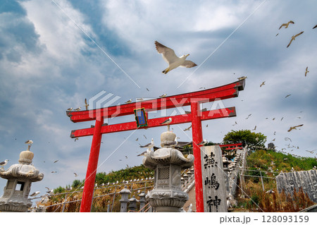 蕪嶋神社とウミネコたち 〜金運祈願のパワースポット 128093159