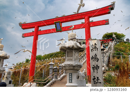 蕪嶋神社とウミネコたち 〜金運祈願のパワースポット 128093160