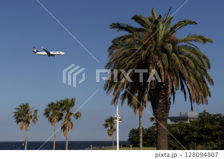 南国のような景色の中を飛ぶ飛行機 南国のような景色の中を飛ぶ飛行機 128094807