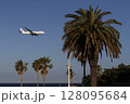 南国のような景色の中を飛ぶ飛行機 128095684