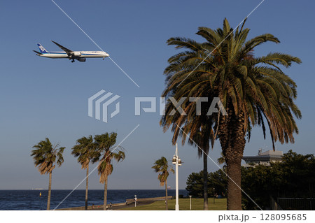 南国のような景色の中を飛ぶ飛行機 南国のような景色の中を飛ぶ飛行機 128095685