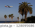 南国のような景色の中を飛ぶ飛行機 128095686