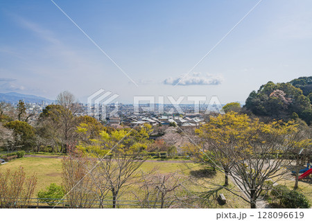 静岡市の清水船越堤公園の桜の風景(静岡県) 128096619