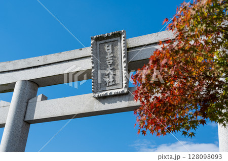 日吉大社の鳥居と鮮やかな紅葉のクローズアップ。滋賀県、大津市、坂本 128098093