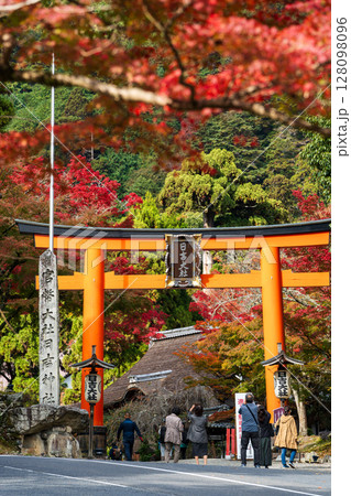 日吉大社入口の赤鳥居と、紅葉の中を歩く参拝客たち。滋賀県、大津市、坂本 128098096