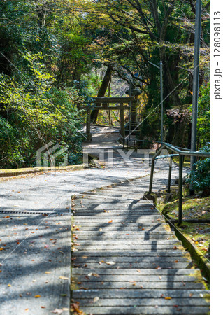 無動寺参道。比叡山無動寺谷へ続く静かな森の中の巡礼の道。滋賀県、大津市、坂本 128098113