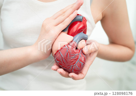 Cardiovascular disease CVD, Asian woman with heart human anatomy model. 128098176