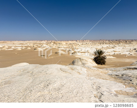 White rock formations and sand dunes in Egypt's White Desert, natural desert landscape White rock formations and sand dunes in Egypt's White Desert, natural desert landscape 128098685