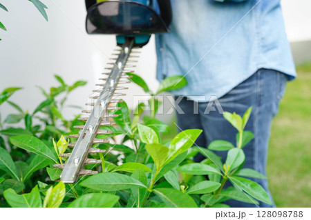 Gardener trimming bush by electric hedge clippers in garden. Hobby at home. 128098788