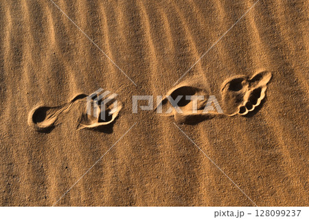 Footprint of a man on the sand. Human step on the ground. Conceptual backgrounds Footprint of a man on the sand. Human step on the ground. Conceptual backgrounds 128099237