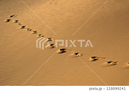 Footprint of a man on the sand. Human step on the ground. Conceptual backgrounds Footprint of a man on the sand. Human step on the ground. Conceptual backgrounds 128099241