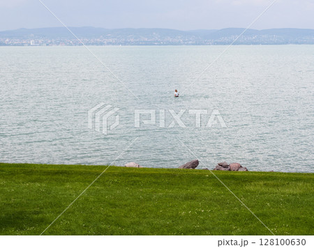 Lone Swimmer in Lake Balaton 128100630