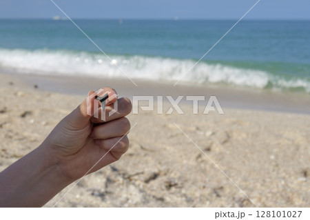 Close up of hand holding shark tooth against sandy Gulf coast background with sea horizon Close up of hand holding shark tooth against sandy Gulf coast background with sea horizon 128101027
