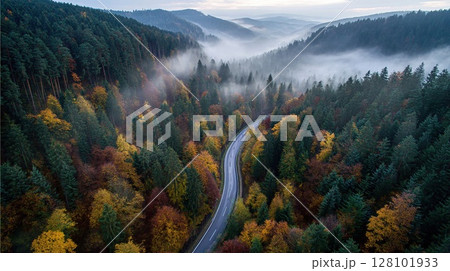 Winding road through a colorful forest in the autumn with fog. 128101933
