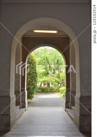 旧京都府庁の葉桜 旧京都府庁の葉桜 128102014