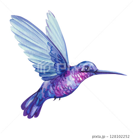 Purple hummingbird watercolor illustration tropical bird in flight botanical clipart for wedding invitations fabric print wall art 128102252