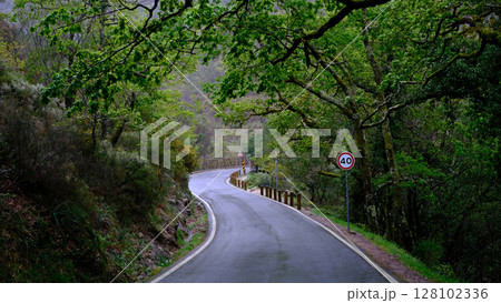 A winding mountain road through a lush green forest, with a speed limit sign visible on the right. 128102336
