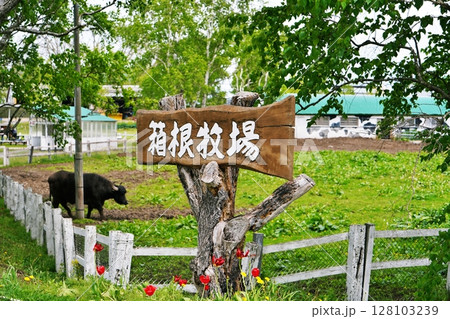 北海道箱根牧場の風景 北海道箱根牧場の風景 128103239