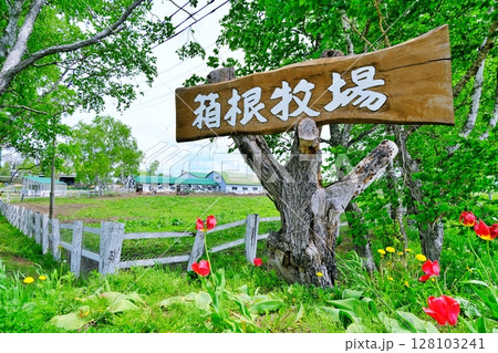 北海道箱根牧場の風景 北海道箱根牧場の風景 128103241