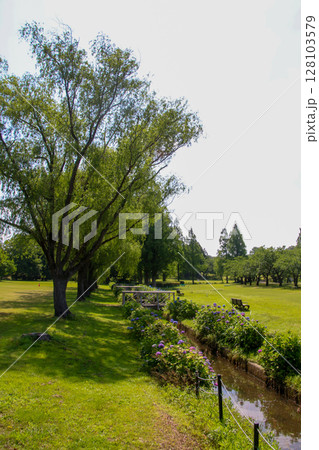 木場潟公園 木場潟公園 128103579