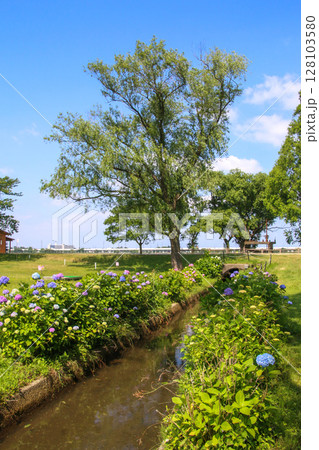 木場潟公園 128103580