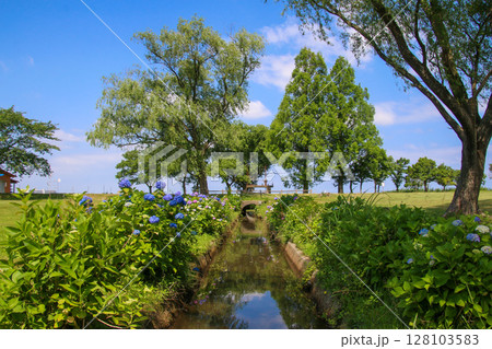 木場潟公園 木場潟公園 128103583