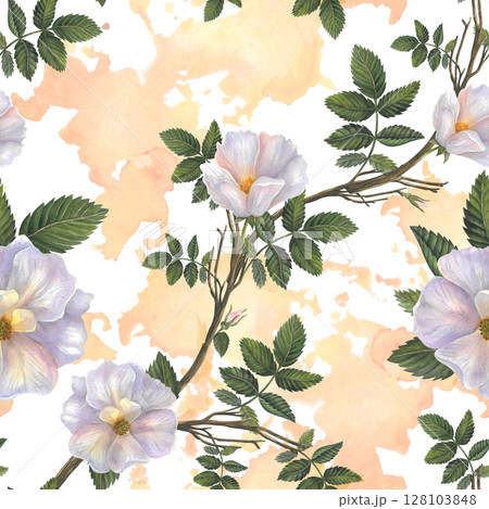 Flowers and branches with leaves rose hips. Seamless pattern on a watercolor background for fabric, textile, prints, design 128103848