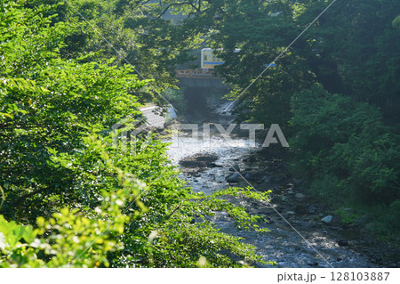 丹沢源流の四十八瀬川を渡る小田急線の風景 128103887
