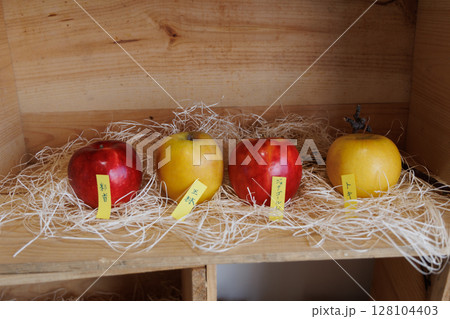 青森りんご集合 128104403