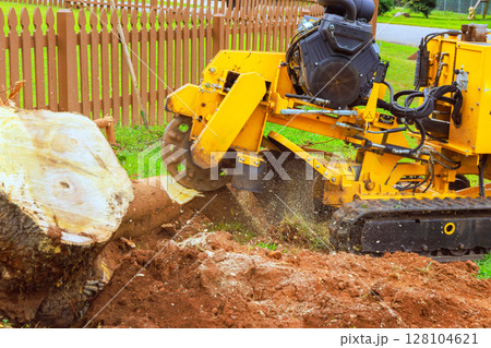 Grinding machine works to remove tree stump in backyard surrounded by wooden fence on work day. Grinding machine works to remove tree stump in backyard surrounded by wooden fence on work day. 128104621
