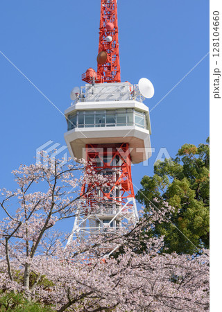 宇都宮タワーと八幡山公園の桜(栃木県宇都宮市、4月撮影) 宇都宮タワーと八幡山公園の桜(栃木県宇都宮市、4月撮影) 128104660