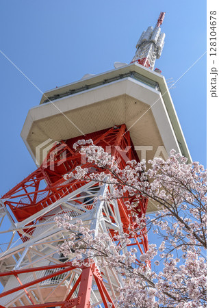 宇都宮タワーと八幡山公園の桜（栃木県宇都宮市、4月撮影） 128104678