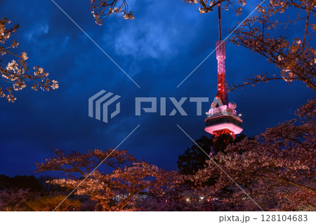 ライトアップされた宇都宮タワーと八幡山公園の夜桜(栃木県宇都宮市、4月撮影) ライトアップされた宇都宮タワーと八幡山公園の夜桜(栃木県宇都宮市、4月撮影) 128104683