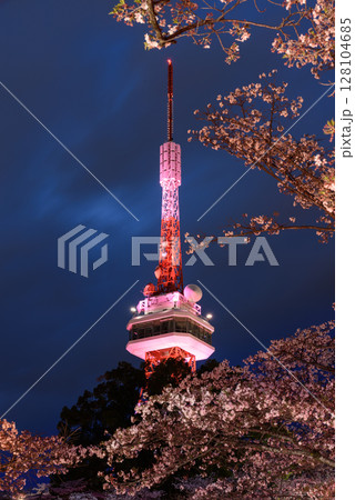 ライトアップされた宇都宮タワーと八幡山公園の夜桜（栃木県宇都宮市、4月撮影） 128104685