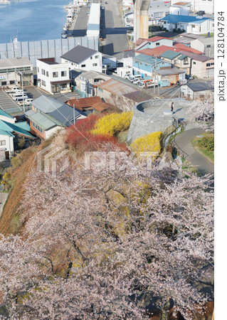 グレットタワーみなとから観る満開の桜（青森県八戸市） 128104784