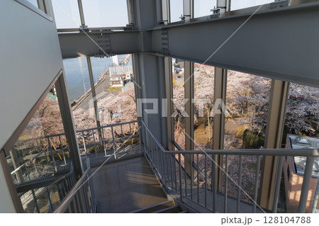 グレットタワーみなとから観る満開の桜(青森県八戸市) グレットタワーみなとから観る満開の桜(青森県八戸市) 128104788