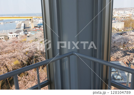 グレットタワーみなとから観る満開の桜（青森県八戸市） 128104789