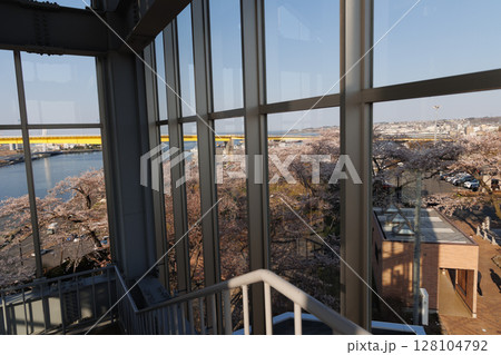 八戸大橋と満開の桜（青森県八戸市） 128104792