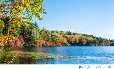 秋の白駒池 128104816