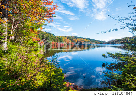 秋の白駒池 128104844