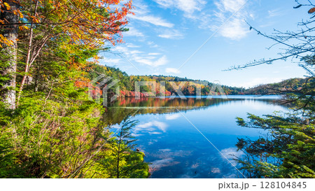 秋の白駒池 128104845