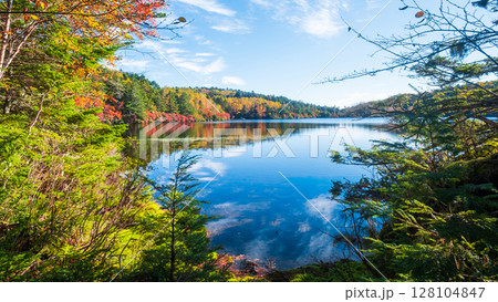 秋の白駒池 128104847