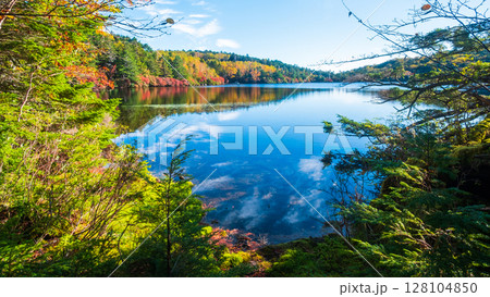 秋の白駒池 128104850