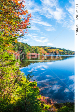 秋の白駒池 128104851