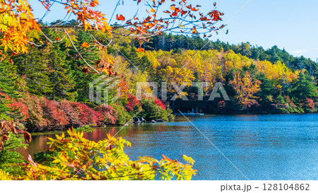 秋の白駒池 128104862