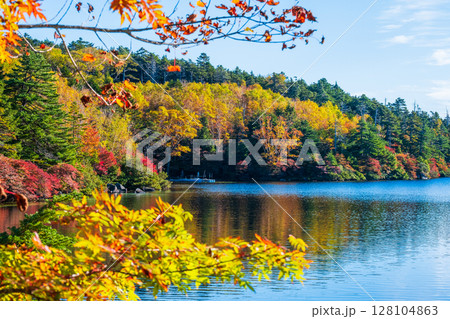 秋の白駒池 128104863