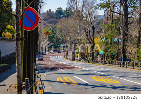 大都市イメージ（東京） 128105228