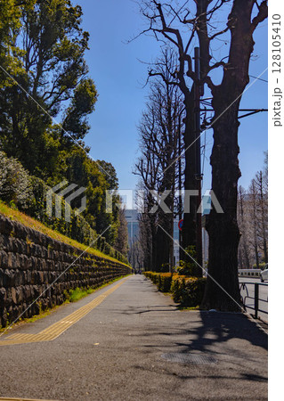 大都市イメージ（東京） 128105410