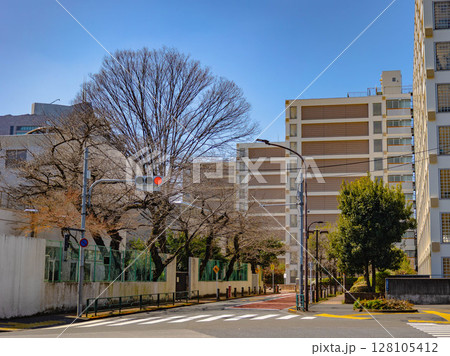 大都市イメージ(東京) 大都市イメージ(東京) 128105412